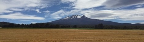 Ruapehu Banner