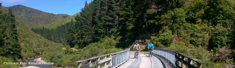 Steve and Kev cross Big Bend bridge