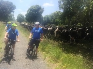 Dale Sharp - 7D453C86-4A97-4074-B97A-C7FAA4C9C867